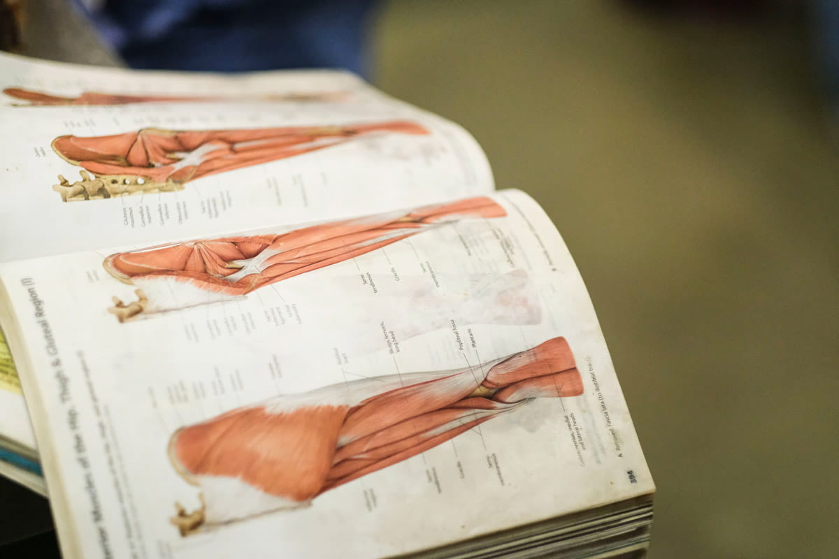 A textbook page detailing the muscles of the lower leg.