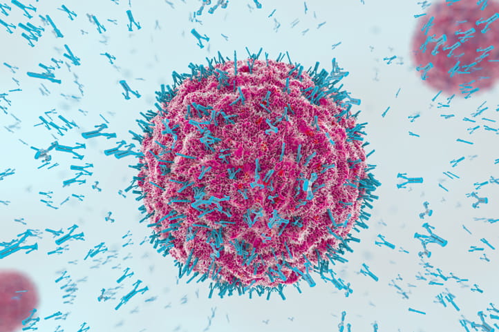 coronavirus antibodies covid-19