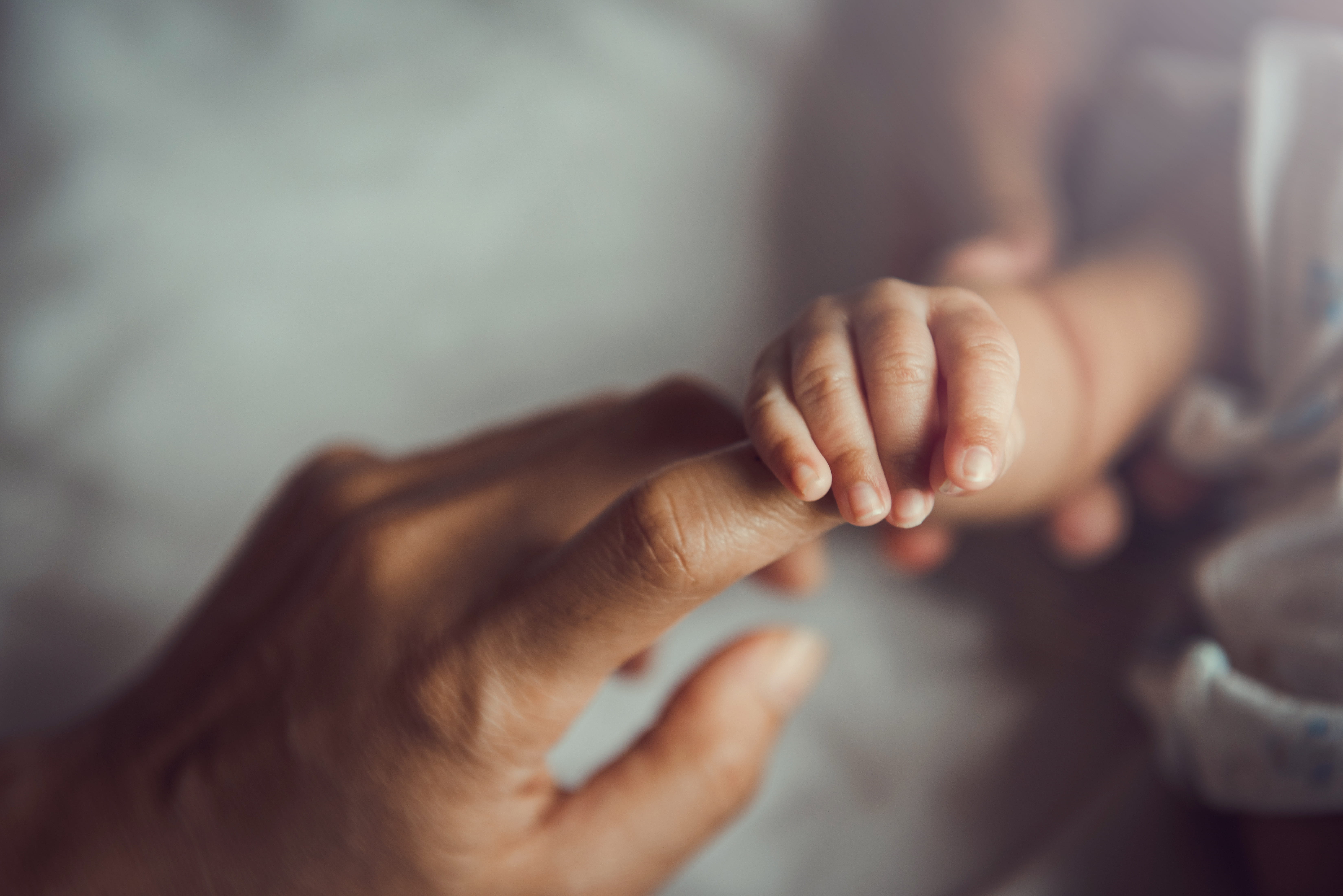 close up photo of a mother's and baby's hands