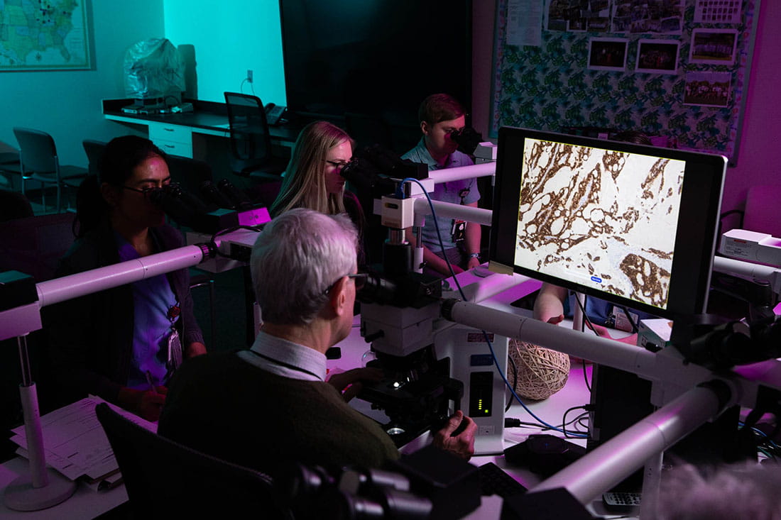 Pathology research on a screen