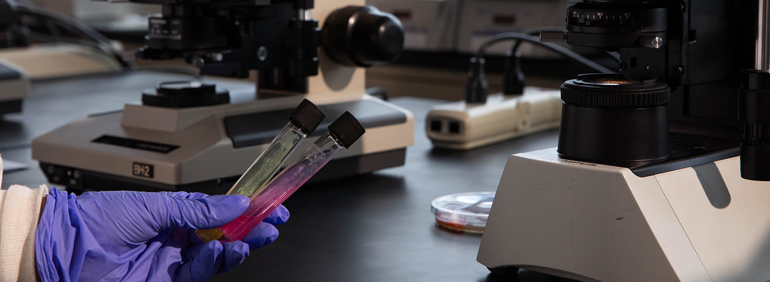 Gloved hands holding vials in a pathology lab