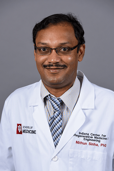 42909-Sinha, Mithun 42909-Sinha, Mithun