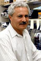 14514-Safa, Ahmad 14514-Safa, Ahmad