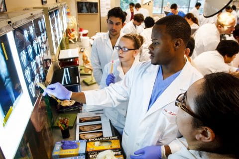 students review medical imaging scans on a monitor