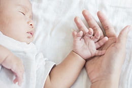 CARE Plus Attachment Training