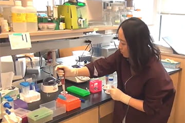Concussion Research