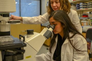 RCF Scholars