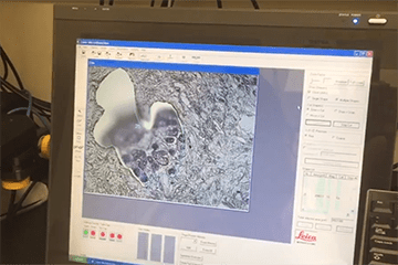 Pediatrics Computing