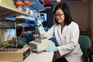 a researcher prepares a sample in the lab